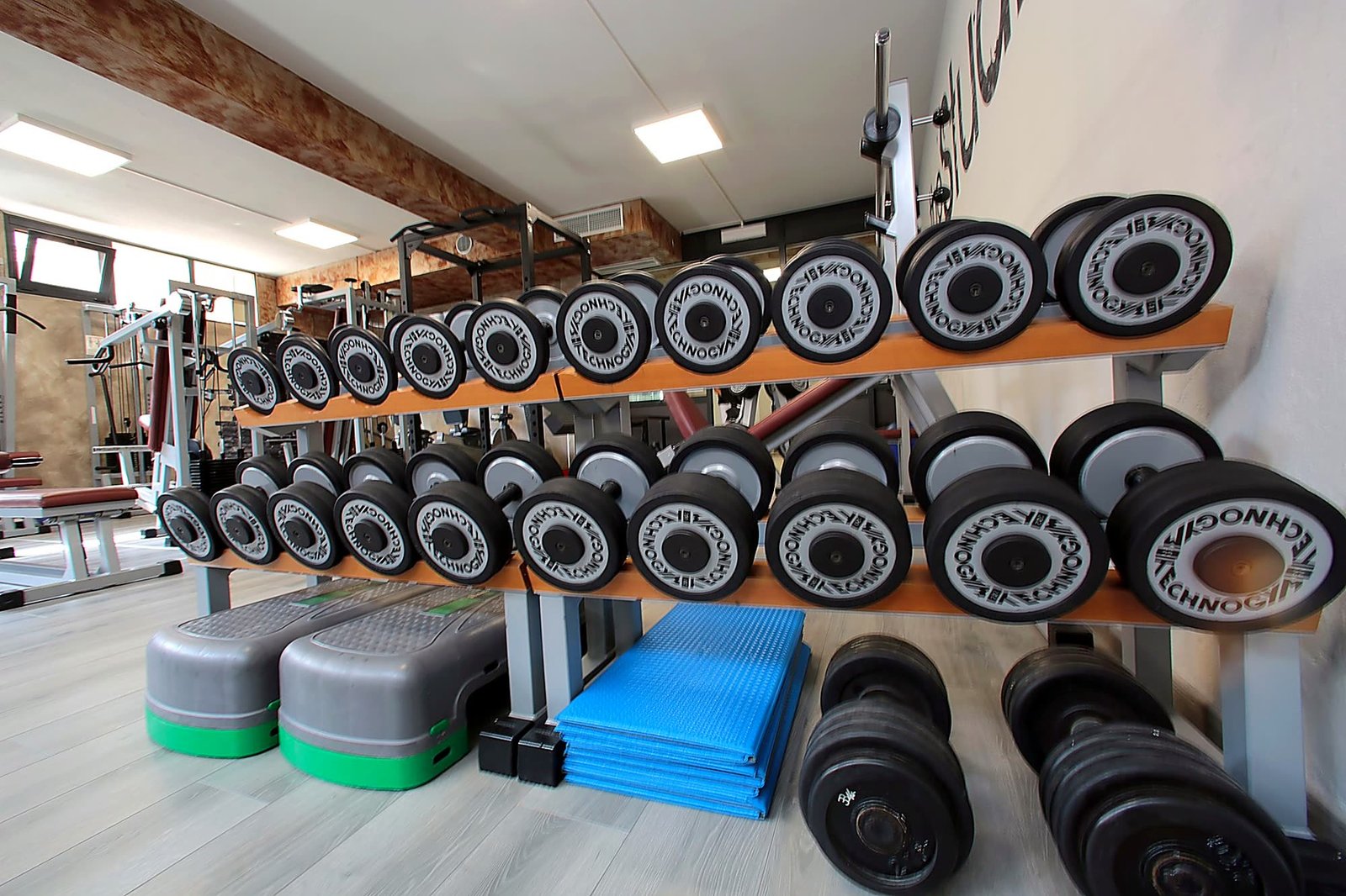 theStudio · Palestra Technogym — sala e dettagli