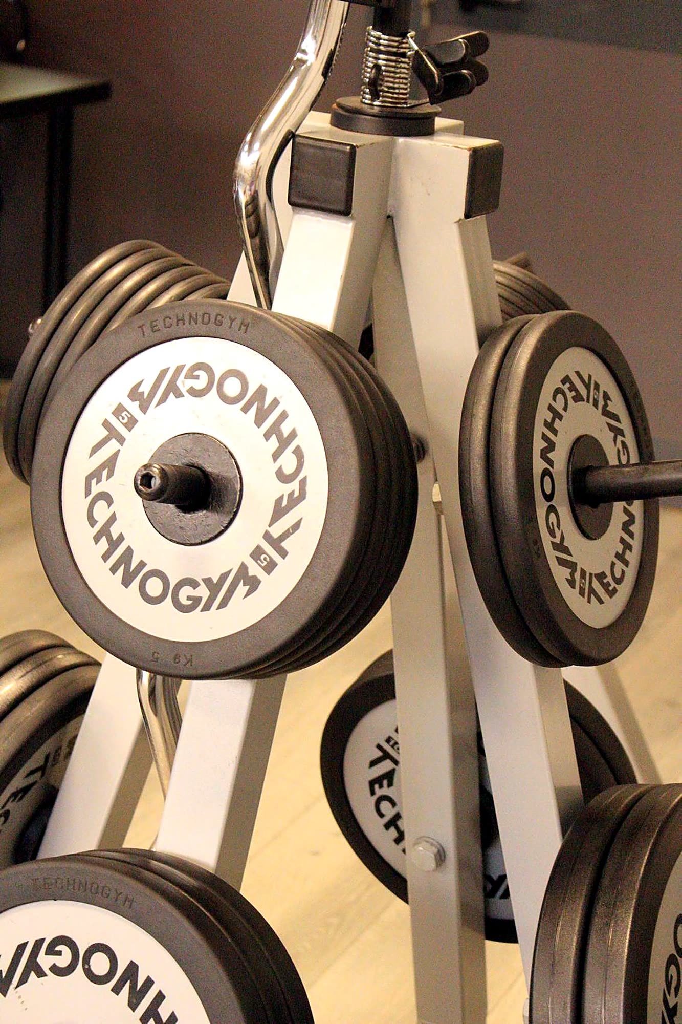 theStudio · Palestra Technogym — sala e dettagli
